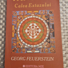 Tantra calea extazului Georg Feuerstein