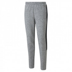 Pantaloni Puma EVOSTRIPE PANTSHER foto