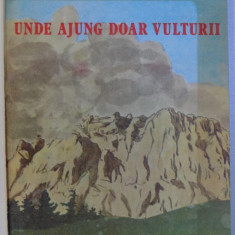 UNDE AJUNG DOAR VULTURII de ION FLORIAN PANDURU , ilustratii de IULIAN CAMPEANU , 1988