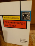 Mădălina Diaconu - Phanomenologie der Sinne