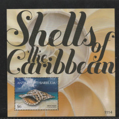 Antigua si Barbuda 2011-Fauna,Moluste,Scoici,colita dantelata,MNH,Mi.Bl.683