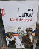 Baieti de gasca - Dan Lungu