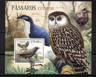 MOZAMBIC 2012, Fauna, Pasari, serie neuzată, MNH foto