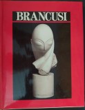 ALBUM LB ENG: CONSTANTIN BRANCUSI (Harry N. Abrams - NY 1997)[format 24,5/31 cm]