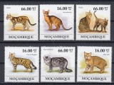 Mozambic - PISICI - MNH - Michel = 23,00 Eur., Nestampilat