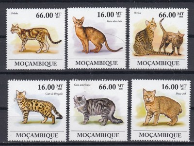 Mozambic - PISICI - MNH - Michel = 23,00 Eur. foto