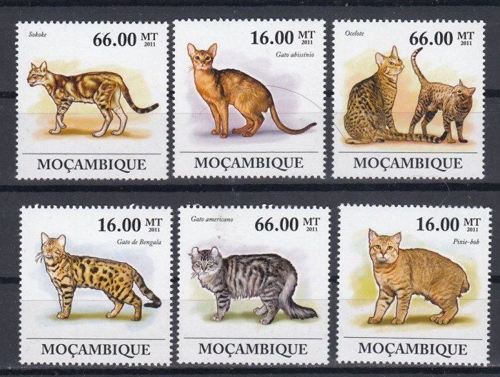 Mozambic - PISICI - MNH - Michel = 23,00 Eur.