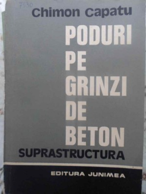 PODURI PE GRINZI DE BETON. SUPRASTRUCTURA-CHIMON CAPATU-231794 foto