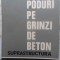 PODURI PE GRINZI DE BETON. SUPRASTRUCTURA-CHIMON CAPATU-231794