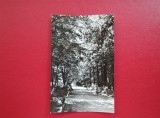 CARTE POSTALA - RPR - PUCIOASA - VEDERE DIN PARC