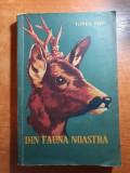 Cartea &quot;Din Fauna Noastra&quot; 1959, 260 pagini, Biologie, Stare Buna