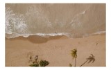 Tablou Canvas, "Sunetul valurilor și liniștea plajei", Plajă, Valuri, Nisip, Palmieri, Umbre, Vedere, Cer, Liniște, Natură, Ocean., 39 x 26 cm, CMCLAS