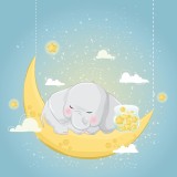 Fototapet - Elefant Somnoros
