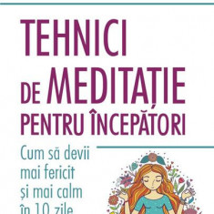 Tehnici de meditație pentru începători. Cum să devii mai fericit și mai calm în 10 zile - Paperback brosat - Benjamin W. Decker - Polirom