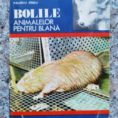 Bolile Animalelor Pentru Blana - Vadim Nesterov, Nicolae Pastirnac, Valeriu Sirbu ,554066