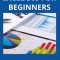 Excel 365 for Beginners
