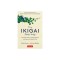 The Ikigai Path: A Journey Through the Stations of Happiness
