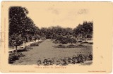 SV * Braila * LACUL SARAT * GRADINA PUBLICA * 1919 * clasica, Circulata, Printata, Fotografie, Oituz