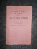 S. MEHEDINTI - CE TREBUIE SA CUGETE UN ROMAN DESPRE TARA SI NATIA ROMANA (1921)