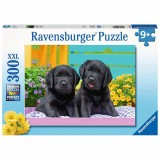 Cumpara ieftin Puzzle Catelusi, 300 Piese, Ravensburger