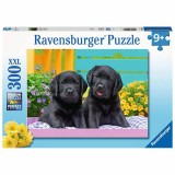 Cumpara ieftin PUZZLE CATELUSI, 300 PIESE, Ravensburger