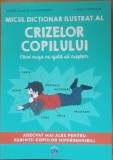 Micul dictionar ilustrat al crizelor copiilor - Anne-Claire Kleindienst