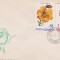 FDC FLORI DIN GRADINI BOTANICE