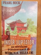 Inger luptator foto