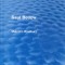 MALCOLM BRADBURY-SAUL BELLOW-237165