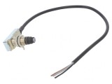 Limitator cursă bolţ cu filet M16x1 SPDT 5A 250VAC IP66
