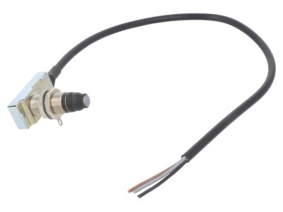 Limitator cursă bolţ cu filet M16x1 SPDT 5A 250VAC IP66 foto