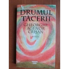 Gheorghe Agenor Crisan - Drumul tacerii