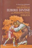 Pr. Paul-Cezar Harlaoanu - Valentele iubirii divine din perspectiva biblica