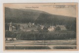 Poiana Tapului - Vedere de pe &quot;Cumpatul&quot;