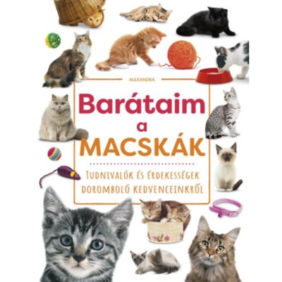 Bar&amp;aacute;taim, a macsk&amp;aacute;k - Tudnival&amp;oacute;k &amp;eacute;s &amp;eacute;rdekess&amp;eacute;gek dorombol&amp;oacute; kedvenceinkről foto