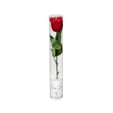 Lumanare decorativa in forma de Trandafir rosu, 26x4 cm, ATU-084235, Oem