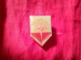 Insigna Pionier Roza Vanturilor - Orientare - - fara clasa