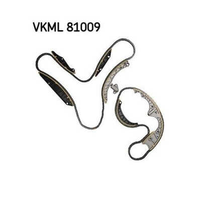 SKF chit lant de distributie foto