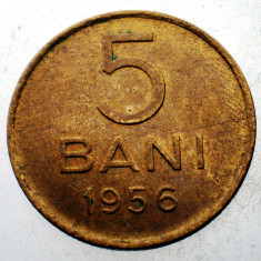7.303 ROMANIA RPR 5 BANI 1956