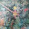 Romanele mesei rotunde. In prelucrarea moderna a lui Jacques Boulenger - 1976 (AA53)