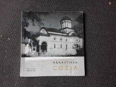 MANASTIREA COZIA - M. DAVIDESCU foto