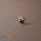 Cercel Unisex Argint 925 cu Cristal Zirconia Negru Rotund, 6 mm