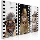Cumpara ieftin Tablou - Funny Pets (Collection) 120x60 cm