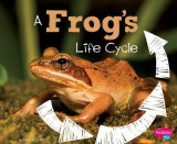 A Frog&#039;s Life Cycle