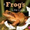 A Frog&#039;s Life Cycle