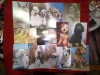 Set 13 Ilustrate - Fauna - Caini ,1 circulata, Necirculata, Printata