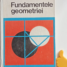 Fundamentele geometriei - Mihaileanu - Neumann