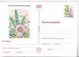 Bnk cp Cactusi - necirculata - marca fixa - 024/97