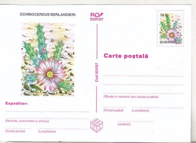 bnk cp Cactusi - necirculata - marca fixa - 024/97 foto