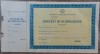 Certificat de rationalizator RSR// blanc